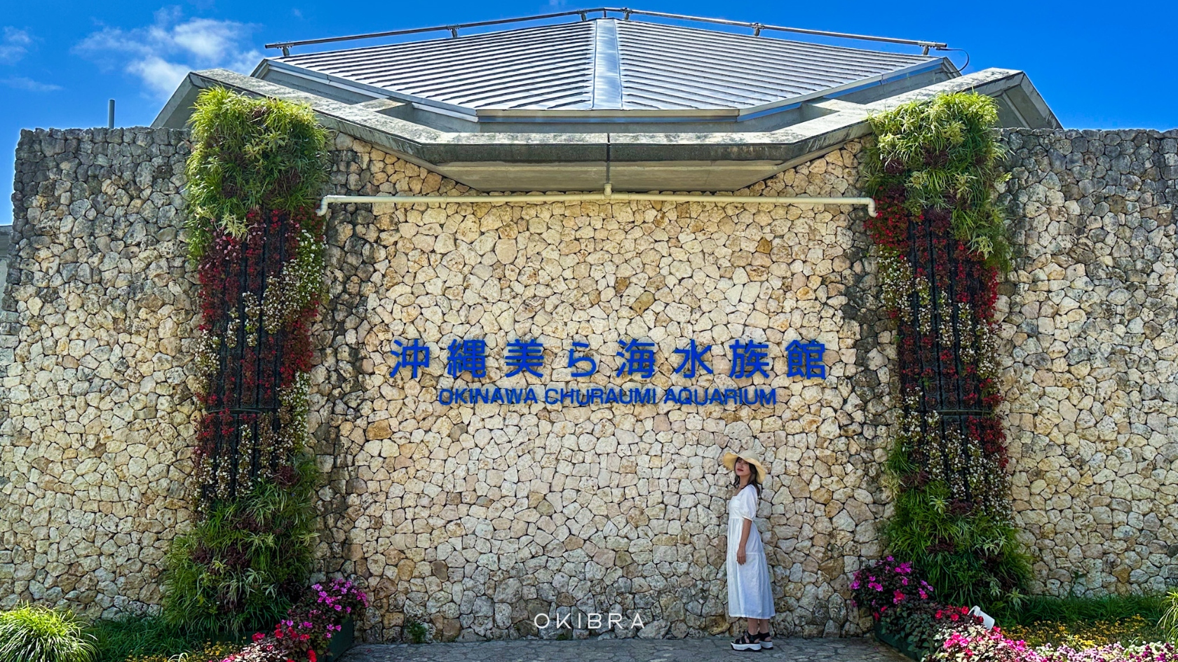 しろくまツアー沖縄バスツアー海洋博公園美ら海水族館