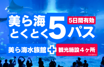 美ら海とくとく5パスポート美ら海水族館と4つの施設を選べる
