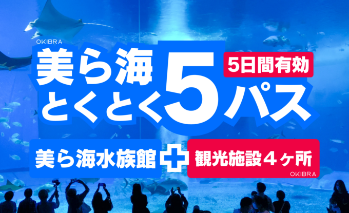 美ら海とくとく5パスポート美ら海水族館と４つの施設を選べる