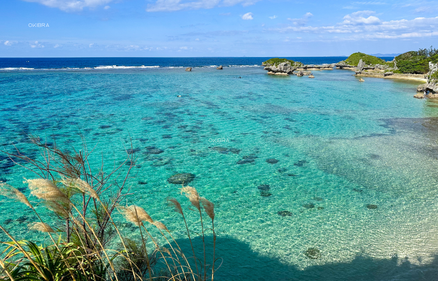 沖縄県恩納村 ザネー浜BEACH51