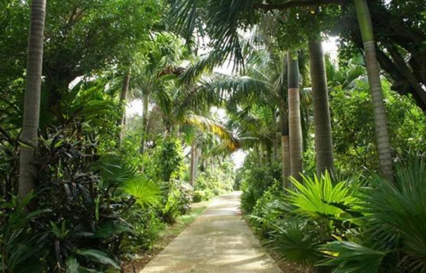 東南植物楽園(提供)