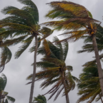 台風