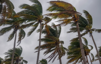 台風