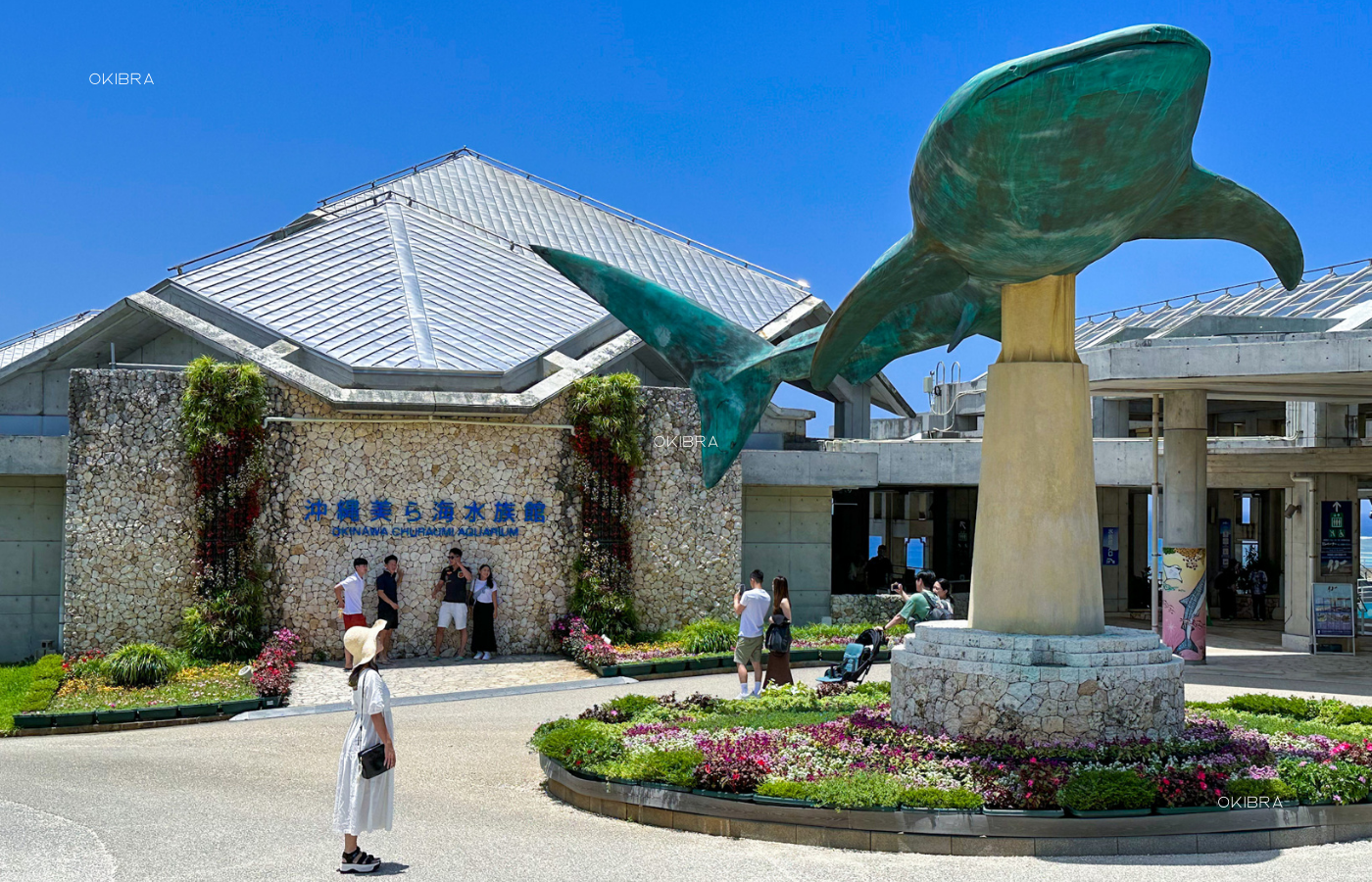 美ら海水族館 沖縄県本部町