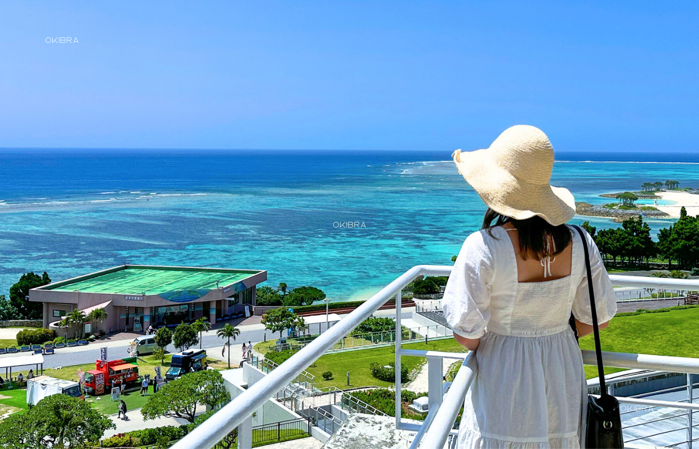 2025年4月1日から価格改定】道の駅許田の美ら海水族館割引チケット