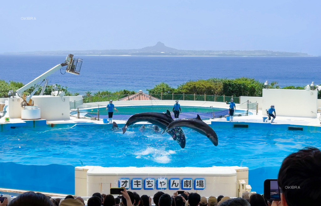 美ら海水族館 沖縄県本部町