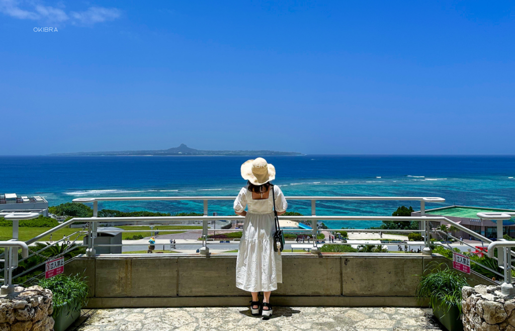 美ら海水族館 沖縄県本部町