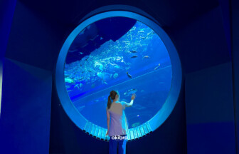 沖縄県豊見城市 DMMかりゆし水族館 沖縄旅行・観光施設スポット
