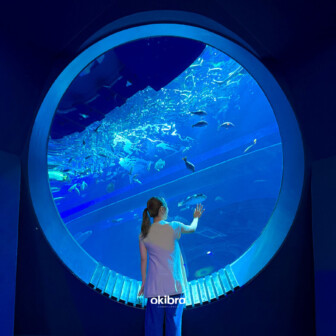 DMM Kariyushi Aquarium, Tomigusuku City, Okinawa Prefecture — Okinawa Travel & Tourist Attractions