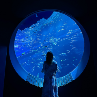 沖縄県豊見城市 DMMかりゆし水族館 観光施設