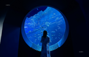 Akuarium DMM Kariyushi, Kota Tomigusuku, Prefektur Okinawa