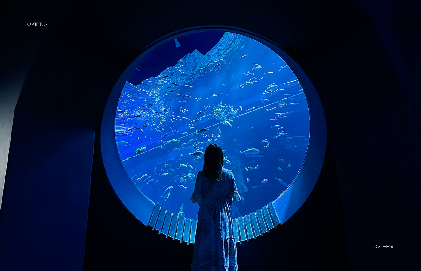 沖縄県豊見城市DMMかりゆし水族館