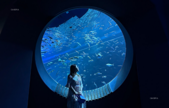 沖縄県豊見城市 DMMかりゆし水族館 観光施設