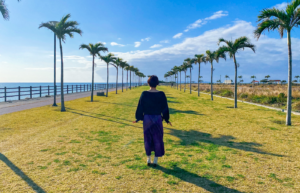 沖縄県豊見城市ヤシの木ロード素材