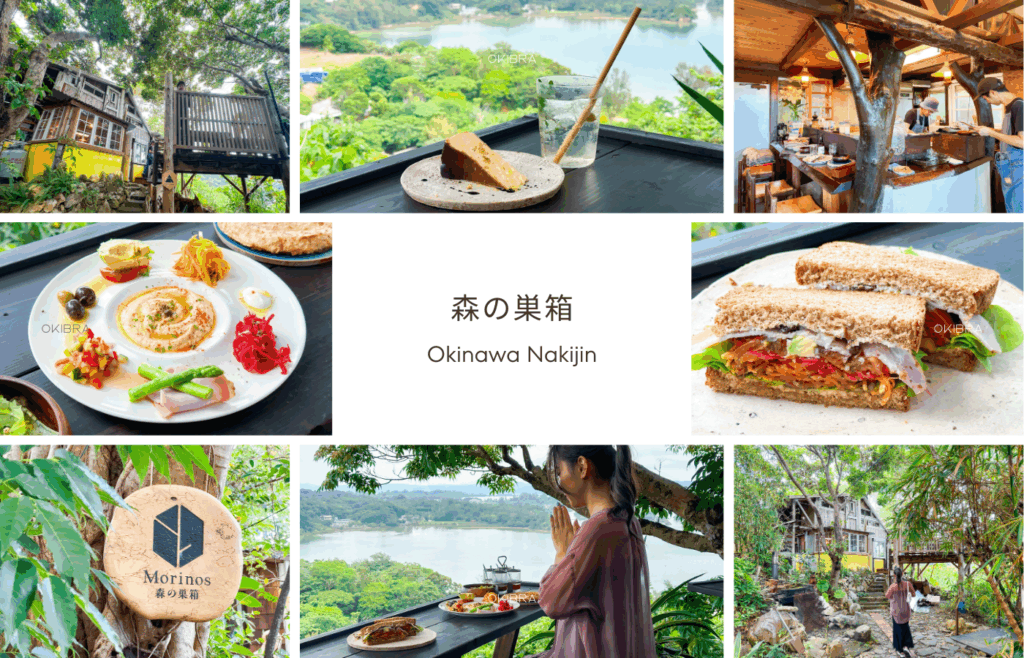 沖縄県今帰仁村 森の巣箱 カフェ やんばる