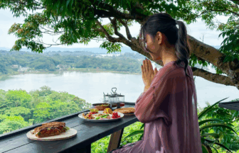 沖縄県今帰仁村 森の巣箱 カフェ やんばる