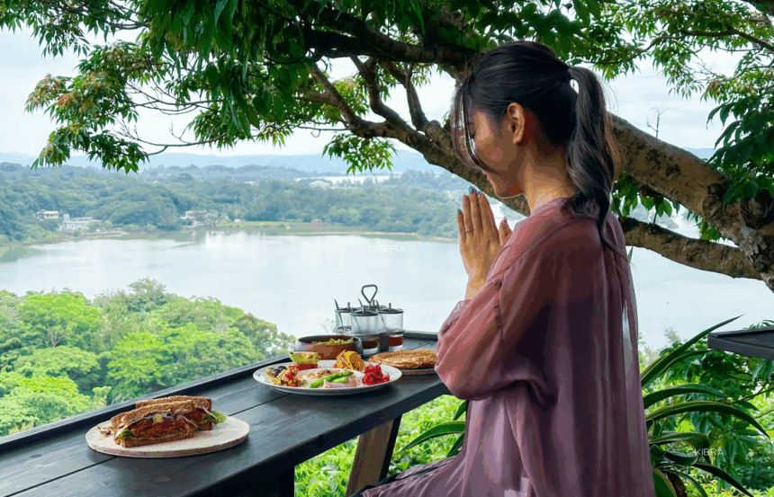 沖縄県今帰仁村 森の巣箱 カフェ やんばる