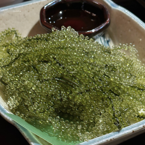 沖縄特産品海ぶどう