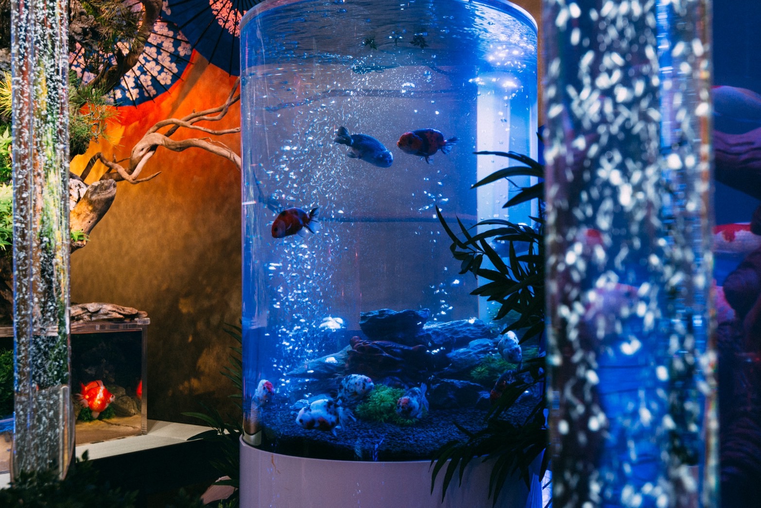 沖縄金魚ミュージアム