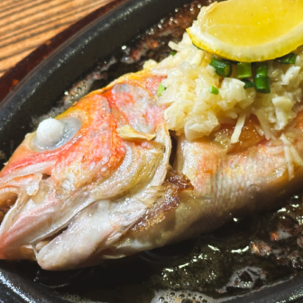 沖縄県恩納村 ととちゃんぷる 沖縄料理 居酒屋 海鮮