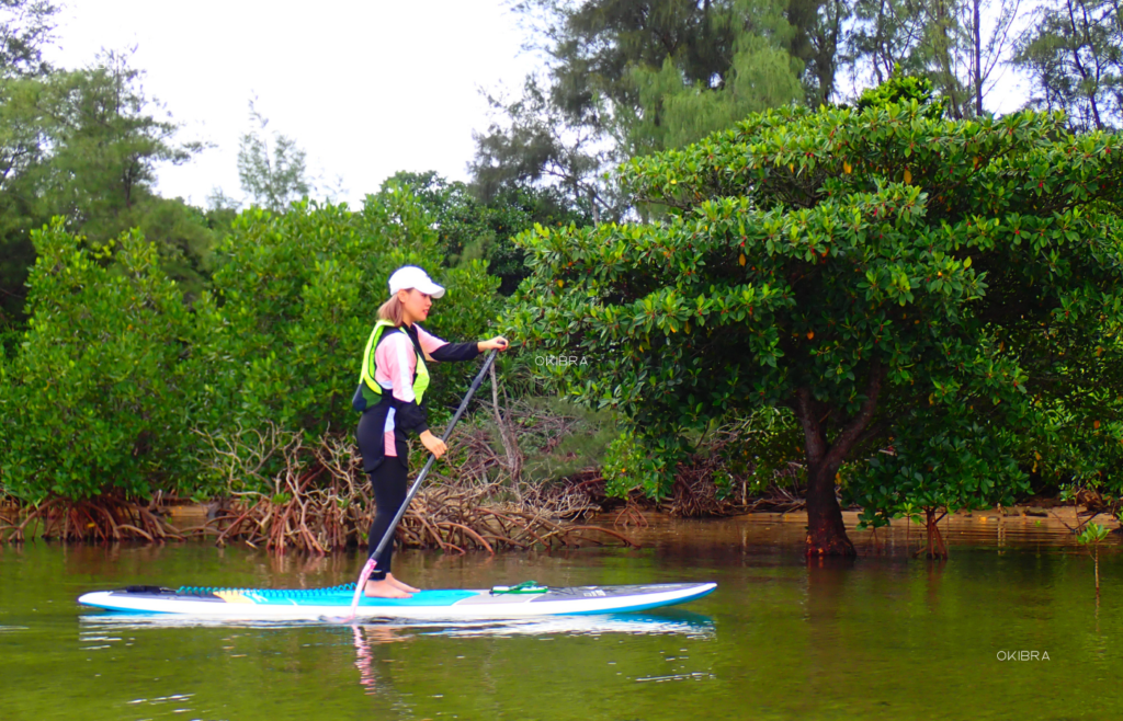 西表島ホテルby星野リゾート リゾートホテル 西表島 世界自然遺産 アクティビティ マングローブSUP
