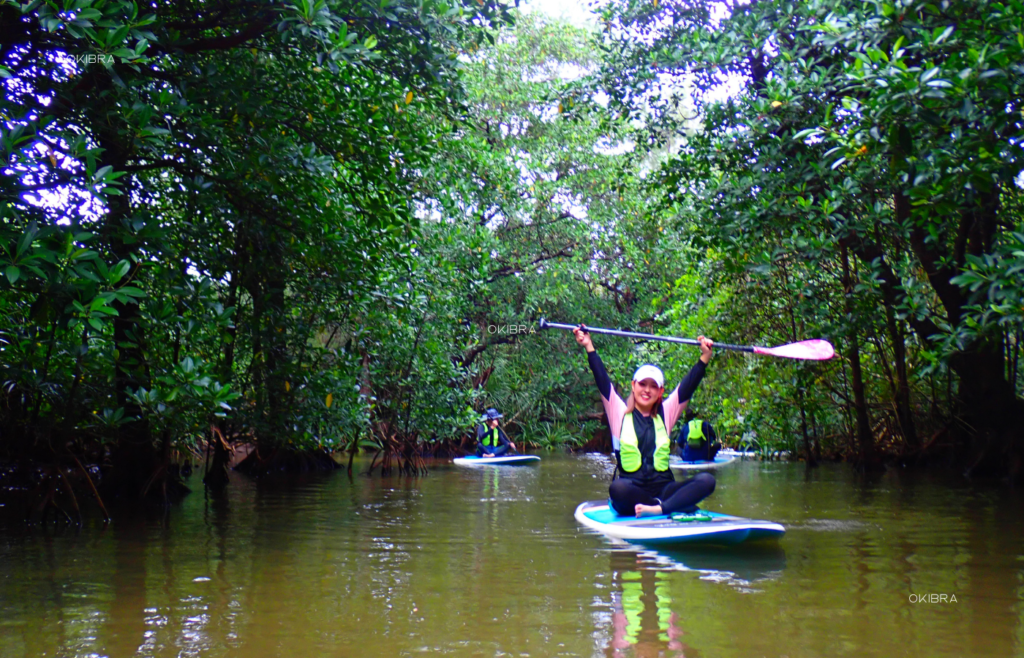 西表島ホテルby星野リゾート リゾートホテル 西表島 世界自然遺産 アクティビティ マングローブSUP