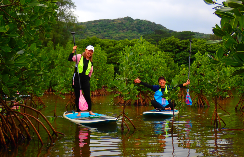 西表島ホテルby星野リゾート リゾートホテル 西表島 世界自然遺産 アクティビティ マングローブSUP