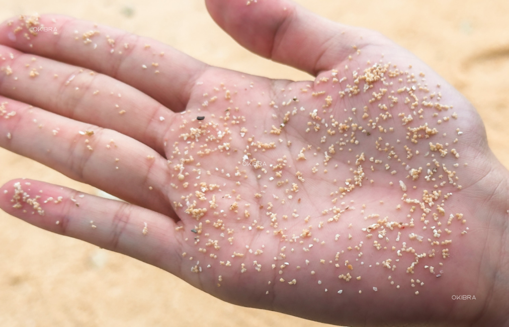 西表島ホテルby星野リゾート リゾートホテル 西表島 世界自然遺産 アクティビティ 星砂の浜