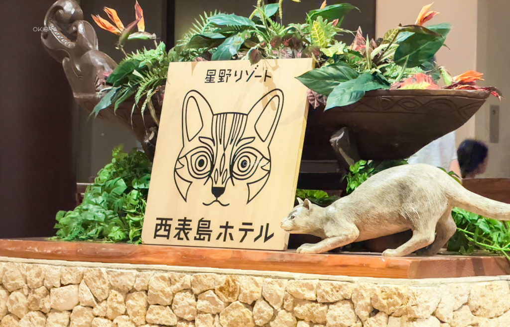 西表島ホテルby星野リゾート リゾートホテル 西表島 世界自然遺産 アクティビティ