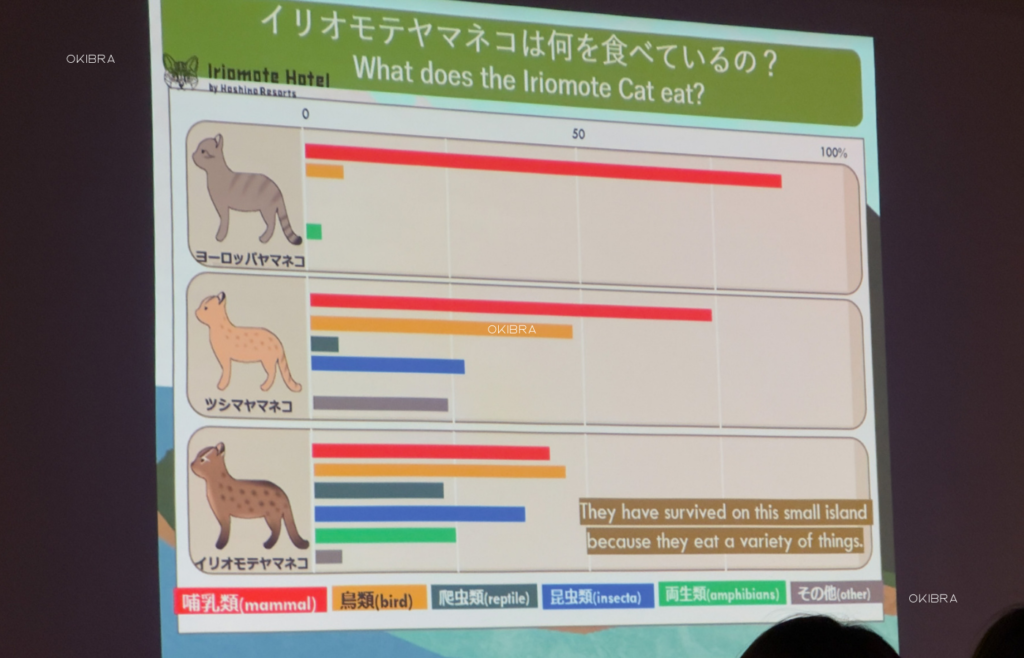 西表島ホテルby星野リゾート リゾートホテル 西表島 世界自然遺産 アクティビティ