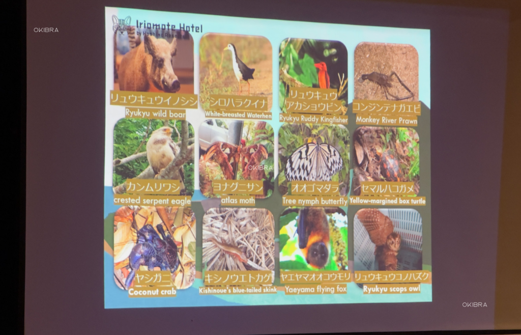 西表島ホテルby星野リゾート リゾートホテル 西表島 世界自然遺産 アクティビティ