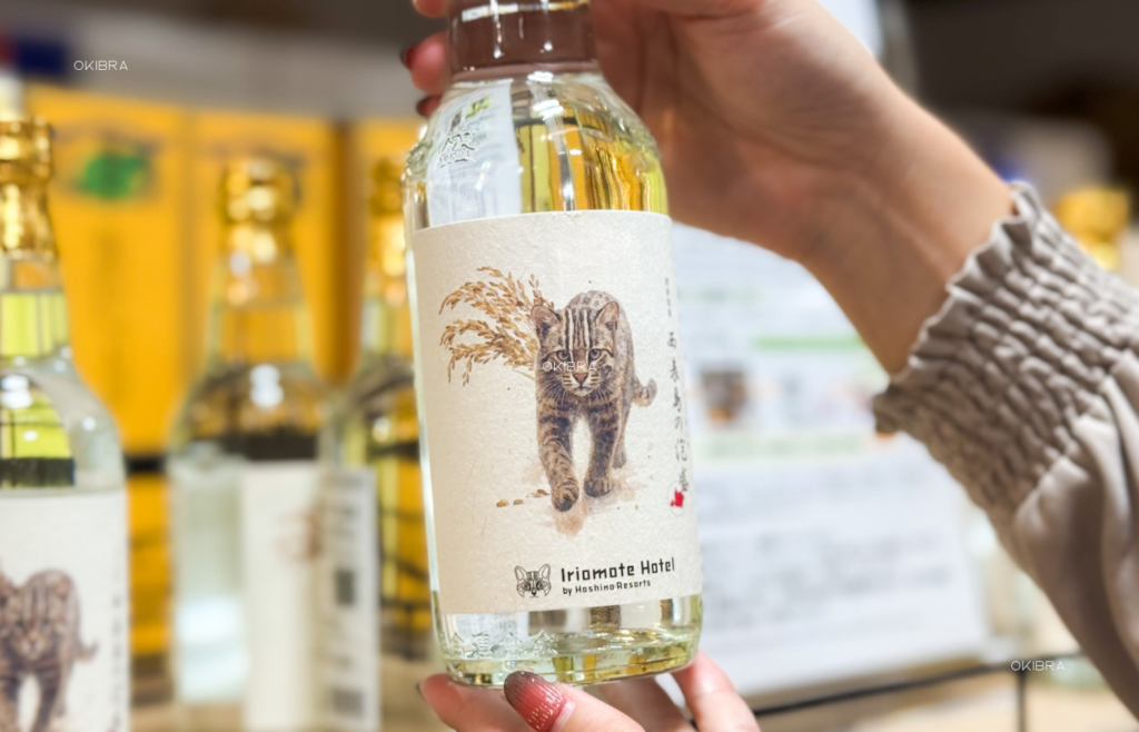 西表島ホテルby星野リゾート リゾートホテル 西表島 世界自然遺産 アクティビティ