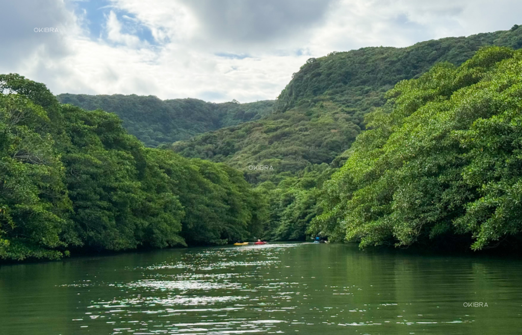 西表島ホテルby星野リゾート リゾートホテル 西表島 世界自然遺産 アクティビティ マングローブカヤック