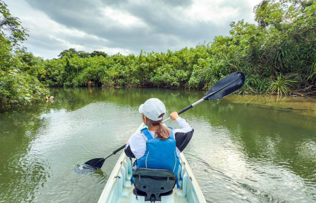 西表島ホテルby星野リゾート リゾートホテル 西表島 世界自然遺産 アクティビティ マングローブカヤック