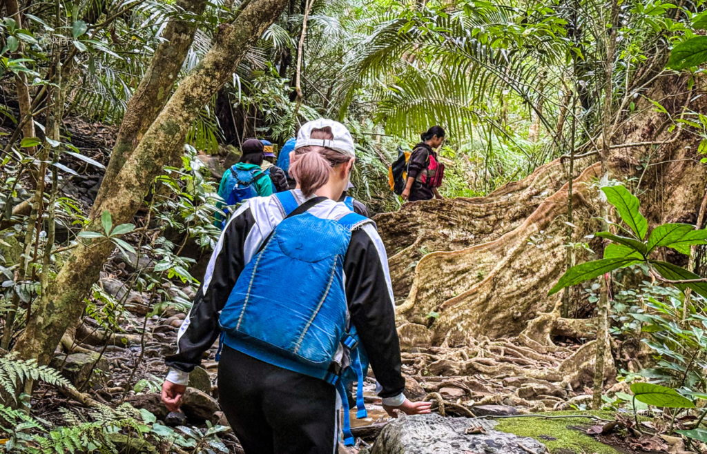 西表島ホテルby星野リゾート リゾートホテル 西表島 世界自然遺産 アクティビティ トレッキング