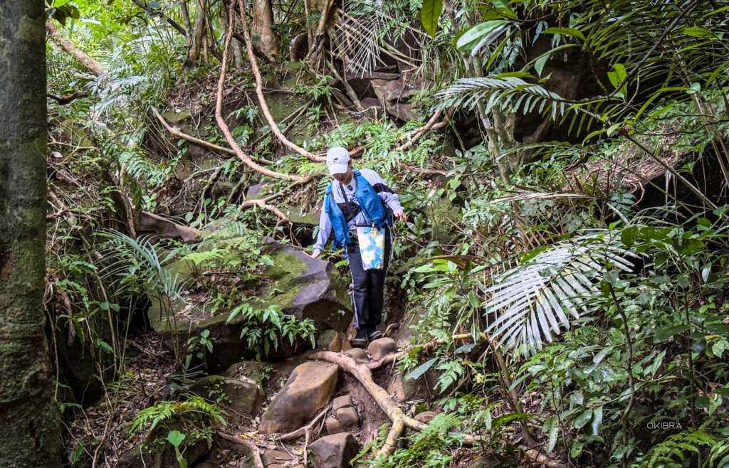 西表島ホテルby星野リゾート リゾートホテル 西表島 世界自然遺産 アクティビティ トレッキング