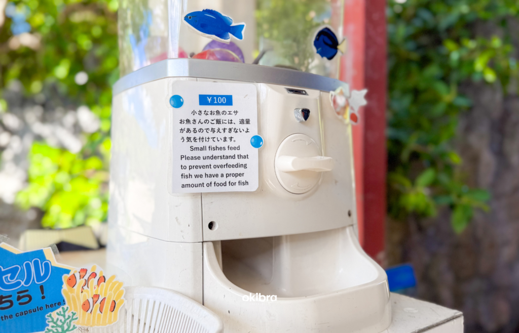 沖縄県読谷村 さんご畑 Coral Farm 観光スポット 小さな水族館 養殖サンゴ ウミガメ 餌やり