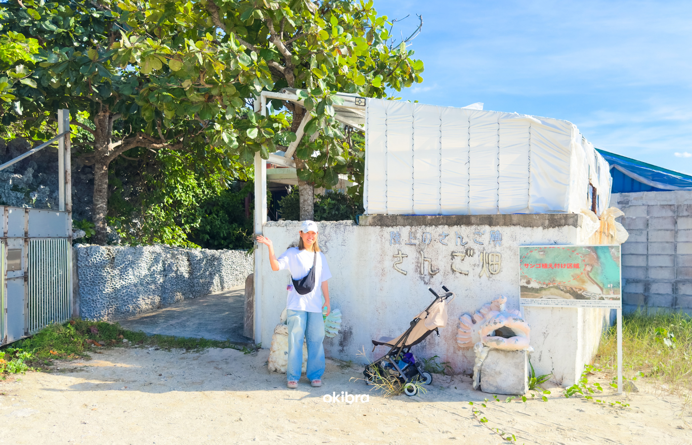 沖縄県読谷村 さんご畑 Coral Farm 観光スポット 小さな水族館 養殖サンゴ ウミガメ 餌やり