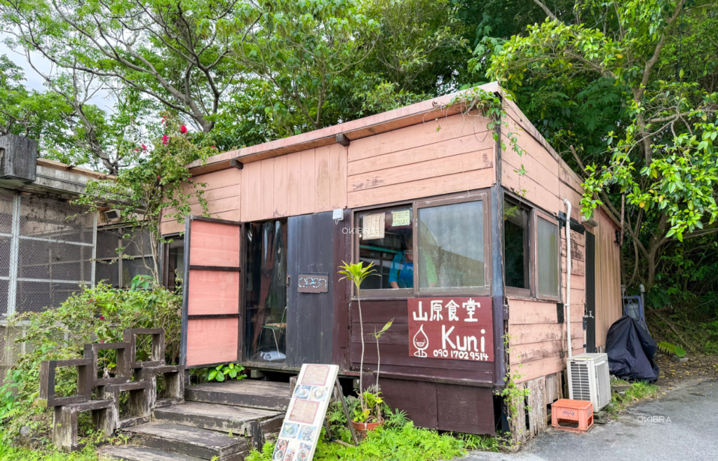 沖縄県今帰仁村 山原食堂kuni 野菜たっぷり 沖縄野菜 島野菜 島豚 島鶏 沖縄県産食材