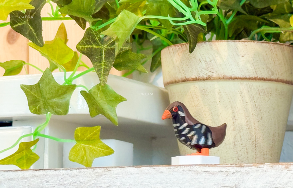 沖縄県今帰仁村 沖縄そばカフェととと 沖縄そば ポップコーン 座敷あり