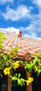 沖縄依存診断 スマホ壁紙2