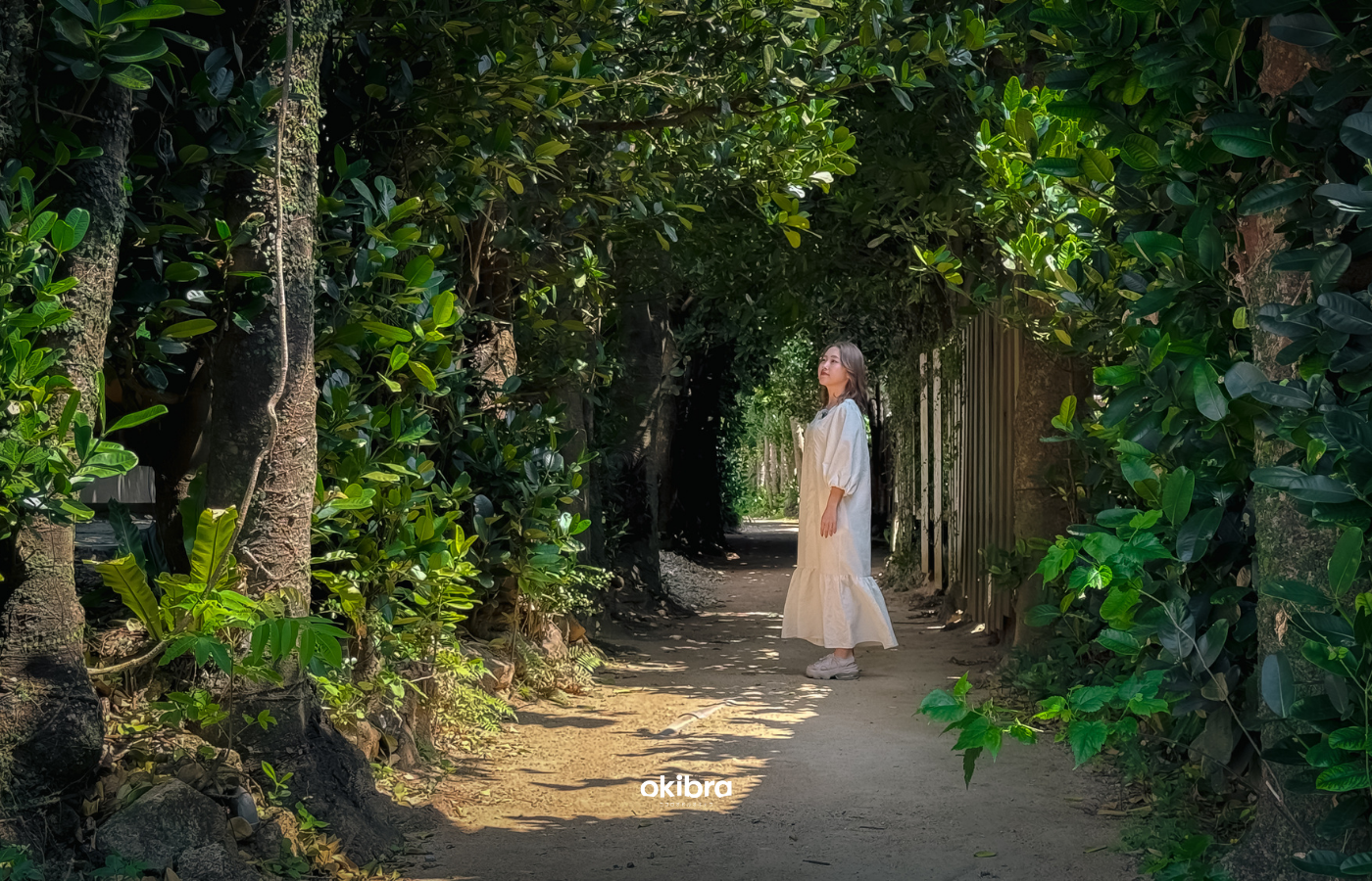 沖縄県今帰仁村 宿 陽月-Hizuki- 2組限定 ヴィラ フクギ並木 沖縄集落