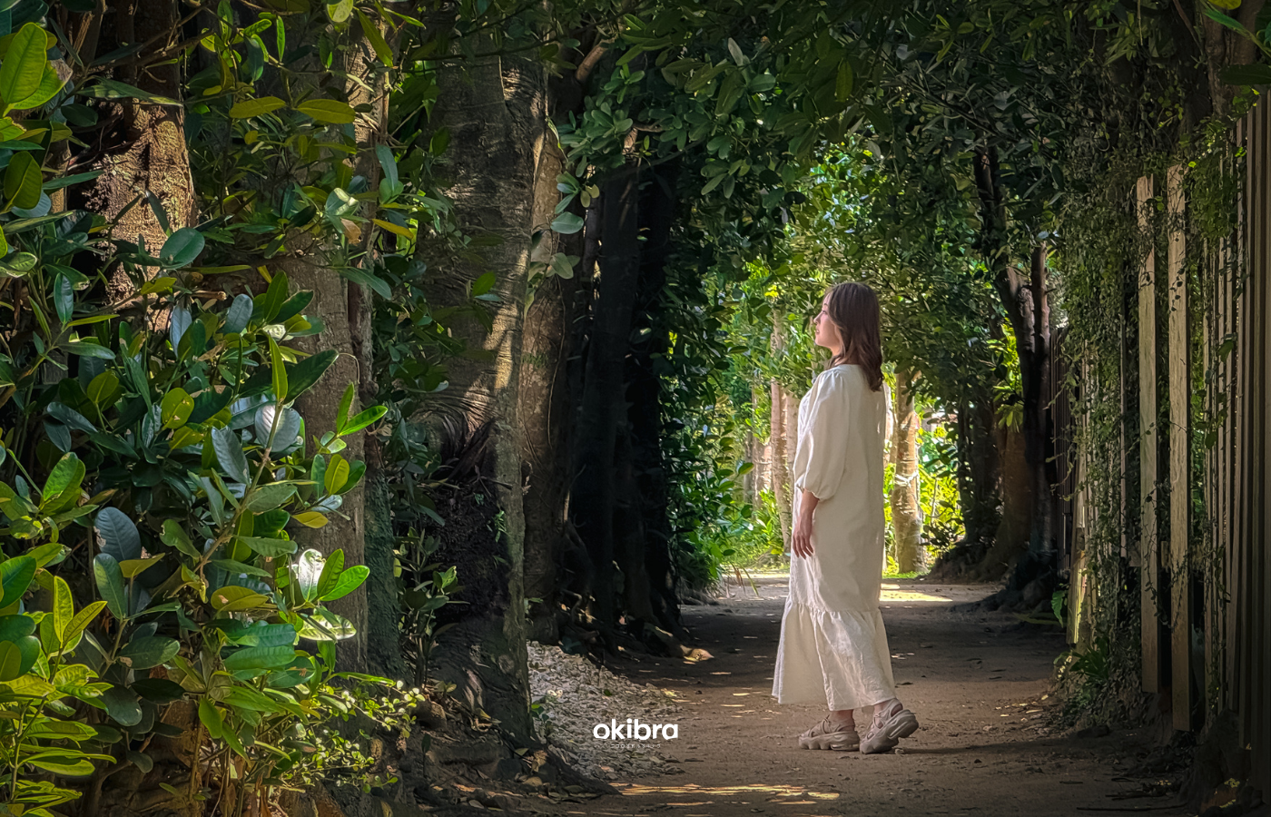 沖縄県今帰仁村 宿 陽月-Hizuki- 2組限定 ヴィラ フクギ並木 沖縄集落