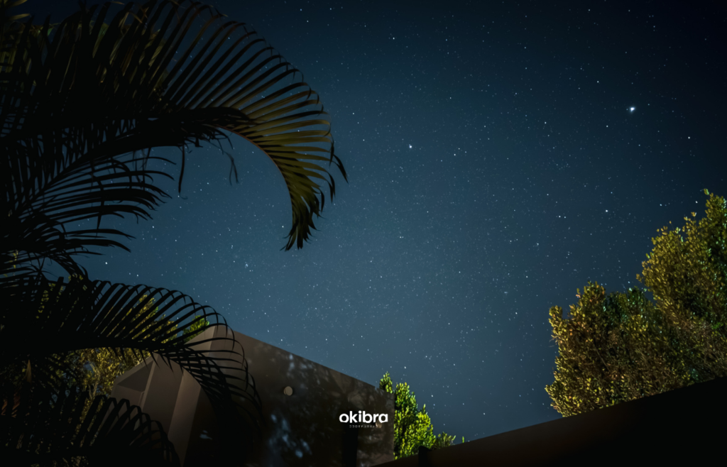 沖縄県今帰仁村 宿 陽月-Hizuki- 2組限定 ヴィラ フクギ並木 沖縄集落