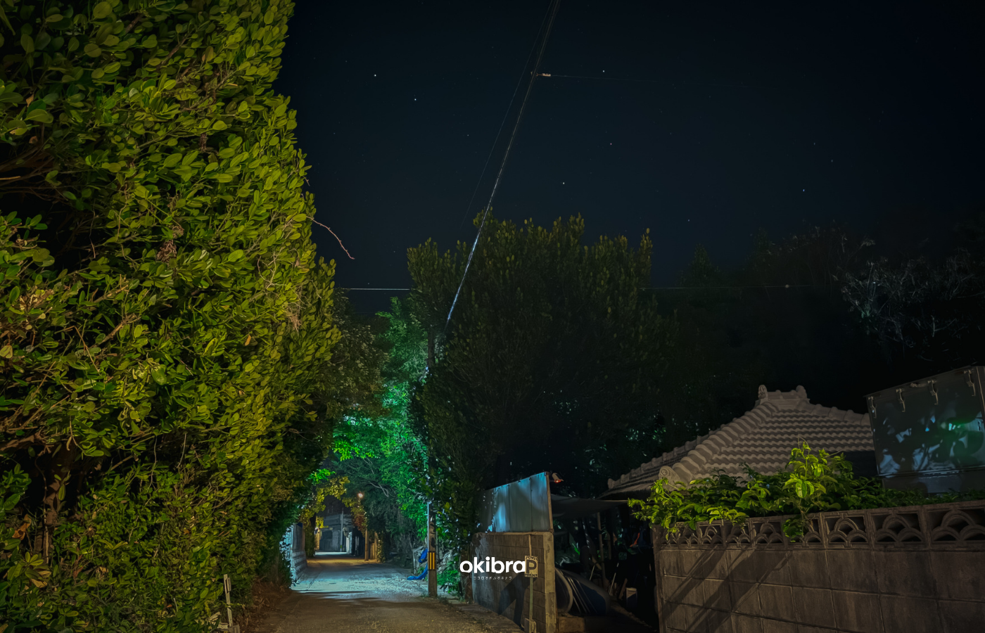 沖縄県今帰仁村 宿 陽月-Hizuki- 2組限定 ヴィラ フクギ並木 沖縄集落