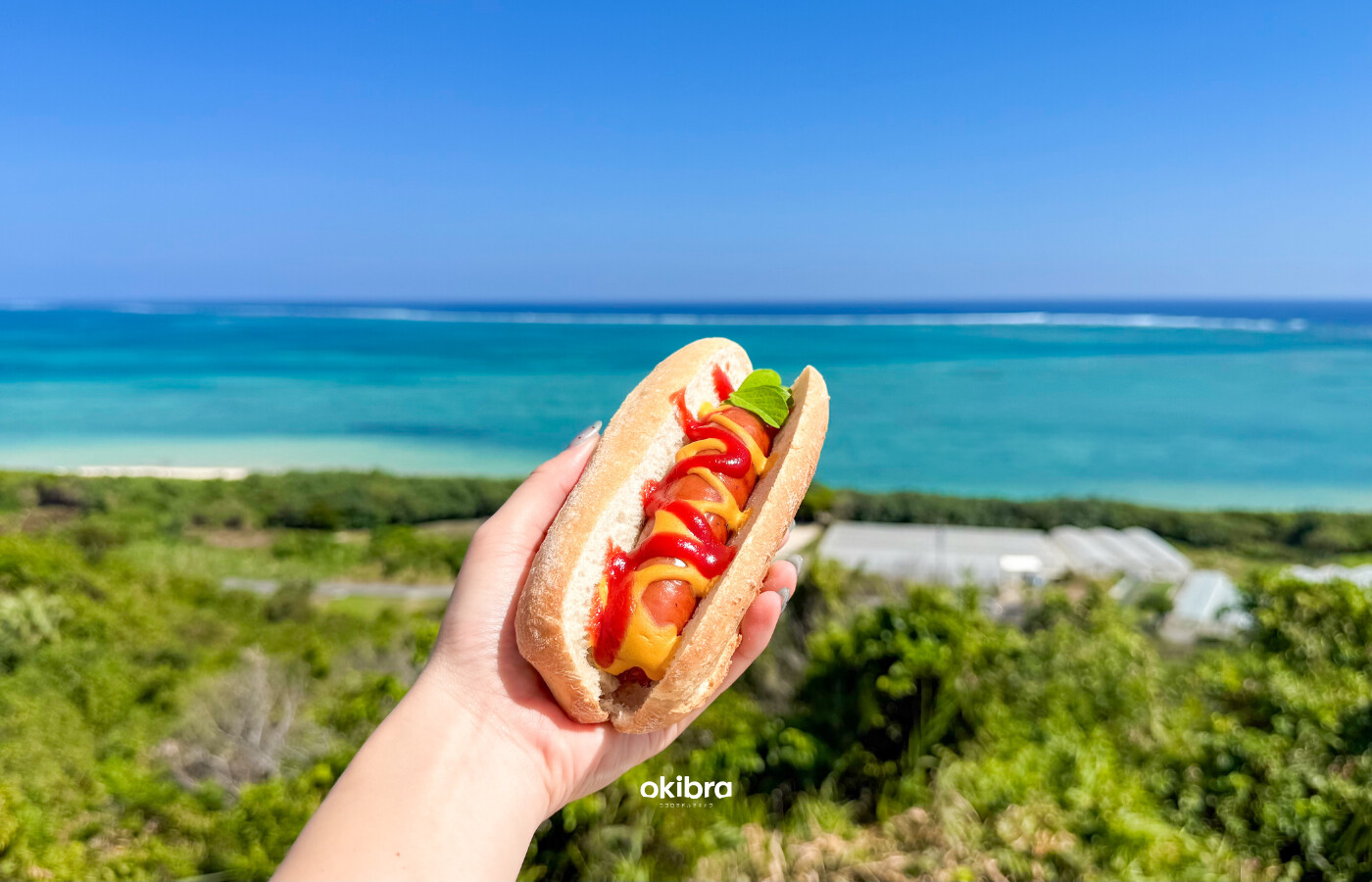 沖縄県南城市 Not Only Cafe Okinawa 絶景オーシャンビューカフェ