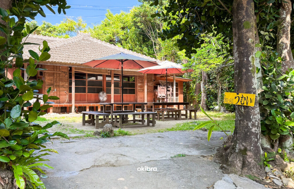 沖縄県今帰仁村 琉球古民家焼肉処うむい 焼肉 和牛 炭火 琉球古民家 フクギ並木