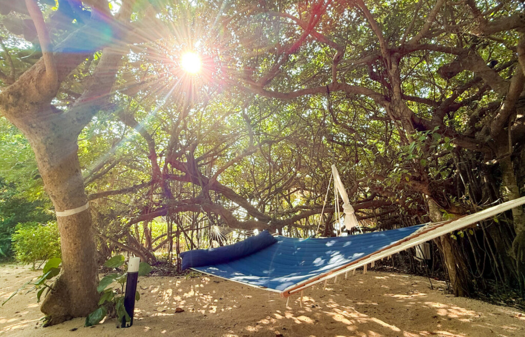 沖縄県 八重山諸島 小浜島 リゾナーレ小浜島 星野リゾート プライベートリゾートホテル