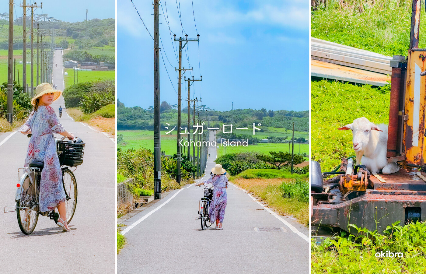 沖縄県 八重山諸島 小浜島 シュガーロード 観光スポット