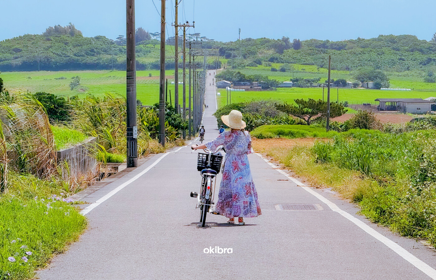 沖縄県 八重山諸島 小浜島 シュガーロード 観光スポット